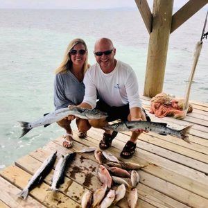 Meet your Posher, Aimee